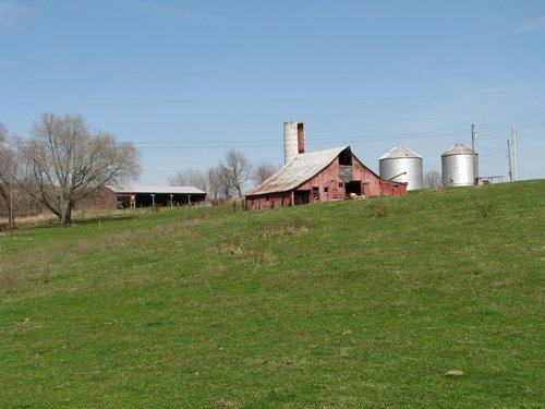Property photo 49 - 137 Acres in 2 Tracts - 64 Tillable Acres, Potential Building Sites, Hunting